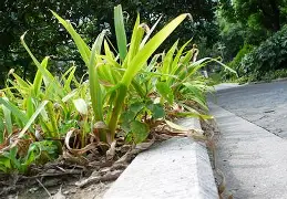 隠&:?OK痓慴?kr揇煪猣煉豿淜瘛歛9笺壃r楼撡鵖磲上]}2?瑓淌禩泶]的简单介绍